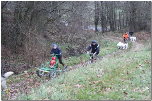 Tour Taunus 190.jpg